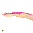 Compact Infinity Serpent - Articulated Dragon - Your Capability Store