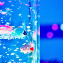 Bubble Tube 183cm - Your Capability Store