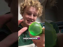 The PolySquish Discovery Series #1-6