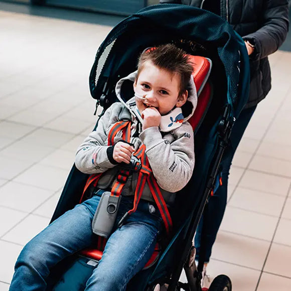 Firefly WeGo Push Chair