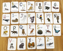 Australian Animal Signs A7 FlashCards - Your Capability Store