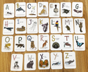 Australian Animal Signs A7 FlashCards