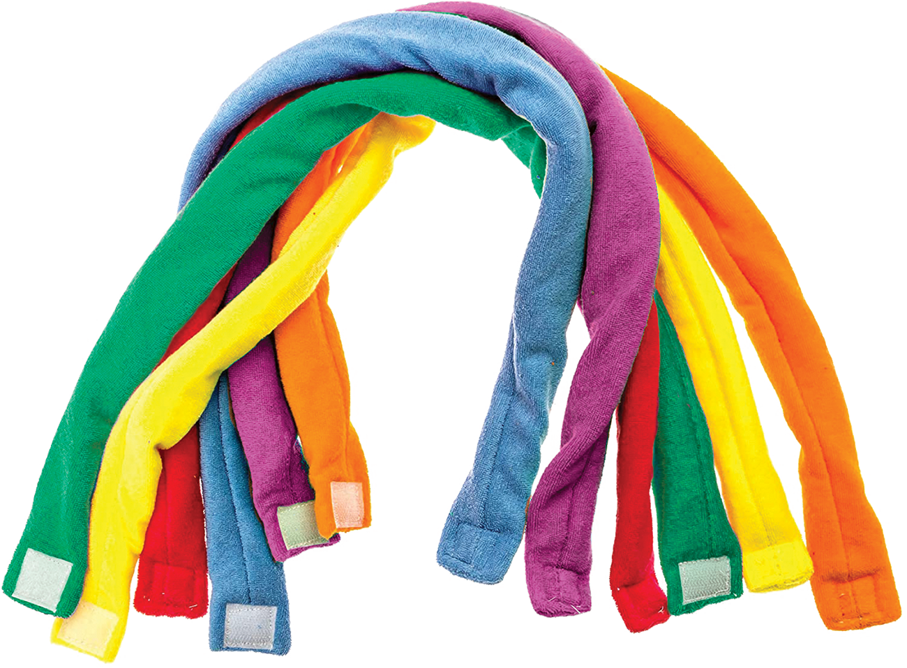 Absorbent Chews - 6 Pack