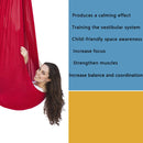 Snug As A Bug Therapy Swing - Your Capability Store