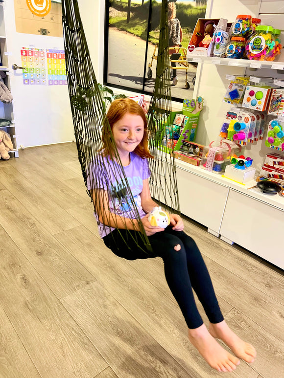 Netted Hammock Swing - Your Capability Store