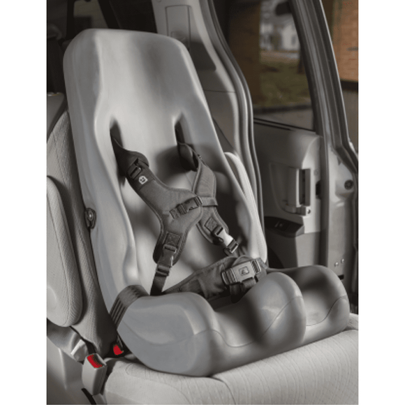 Special Tomato Booster Car Seat - Your Capability Store