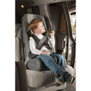 Special Tomato Booster Car Seat - Your Capability Store