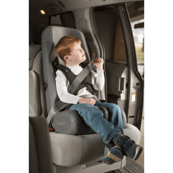 Special Tomato Booster Car Seat - Your Capability Store