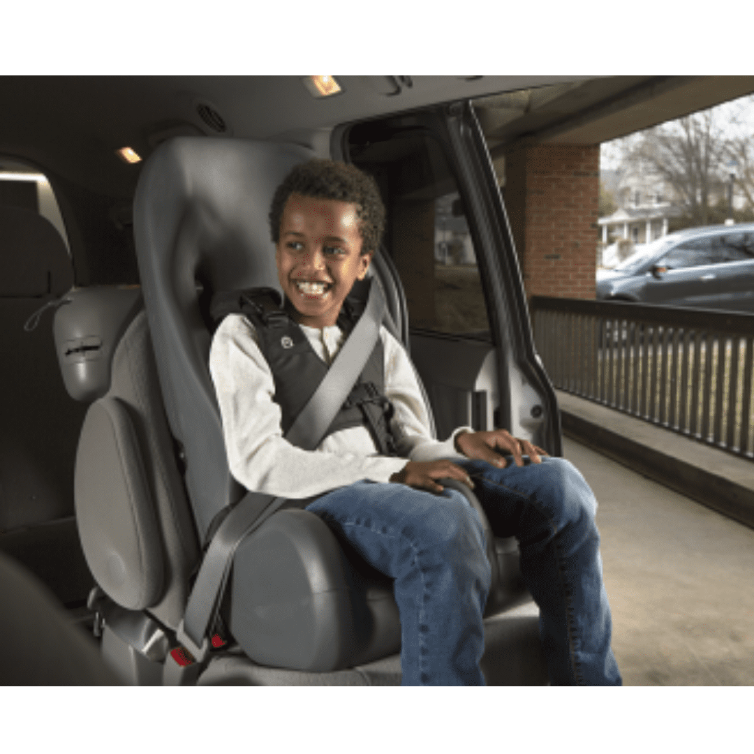 Special Tomato Booster Car Seat - Your Capability Store