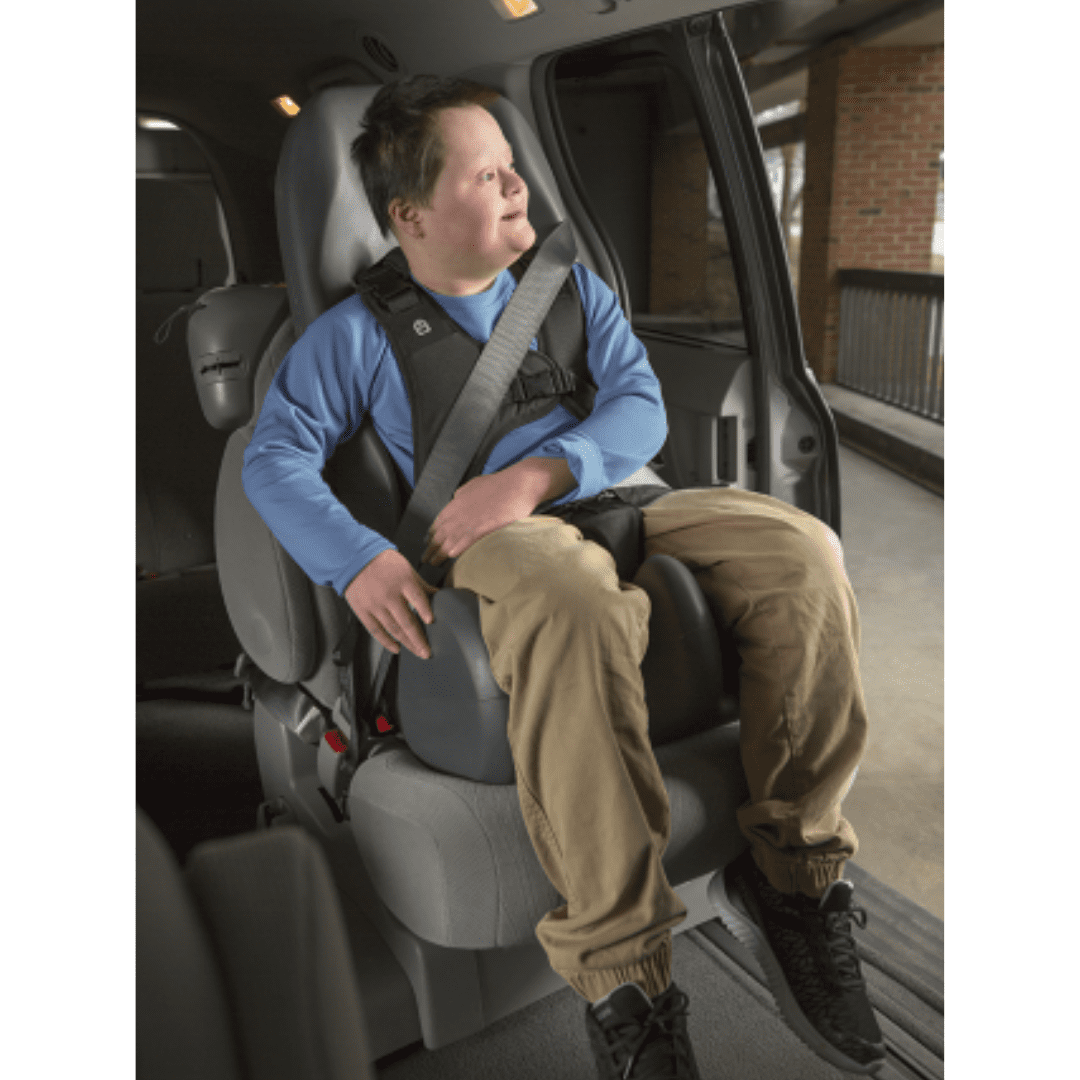 Special Tomato Booster Car Seat - Your Capability Store