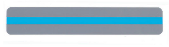 Reading Guide Sentence Strip - Your Capability Store