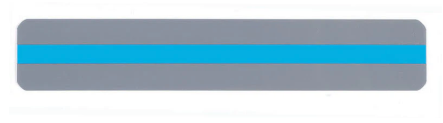 Reading Guide Sentence Strip - Your Capability Store