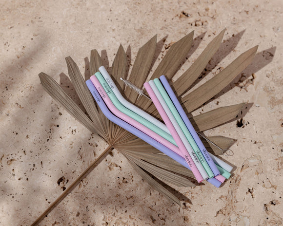 Mini & Boo Straw Cleaner - Your Capability Store