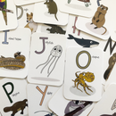Australian Animal Signs A7 FlashCards - Your Capability Store